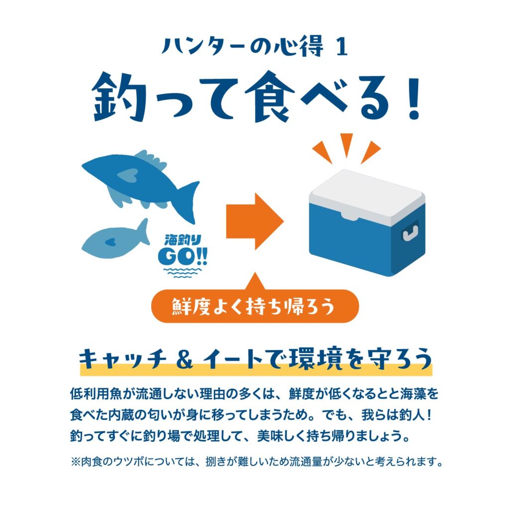仁科漁港｜集えハンターたち！「低利用魚ハンティング」