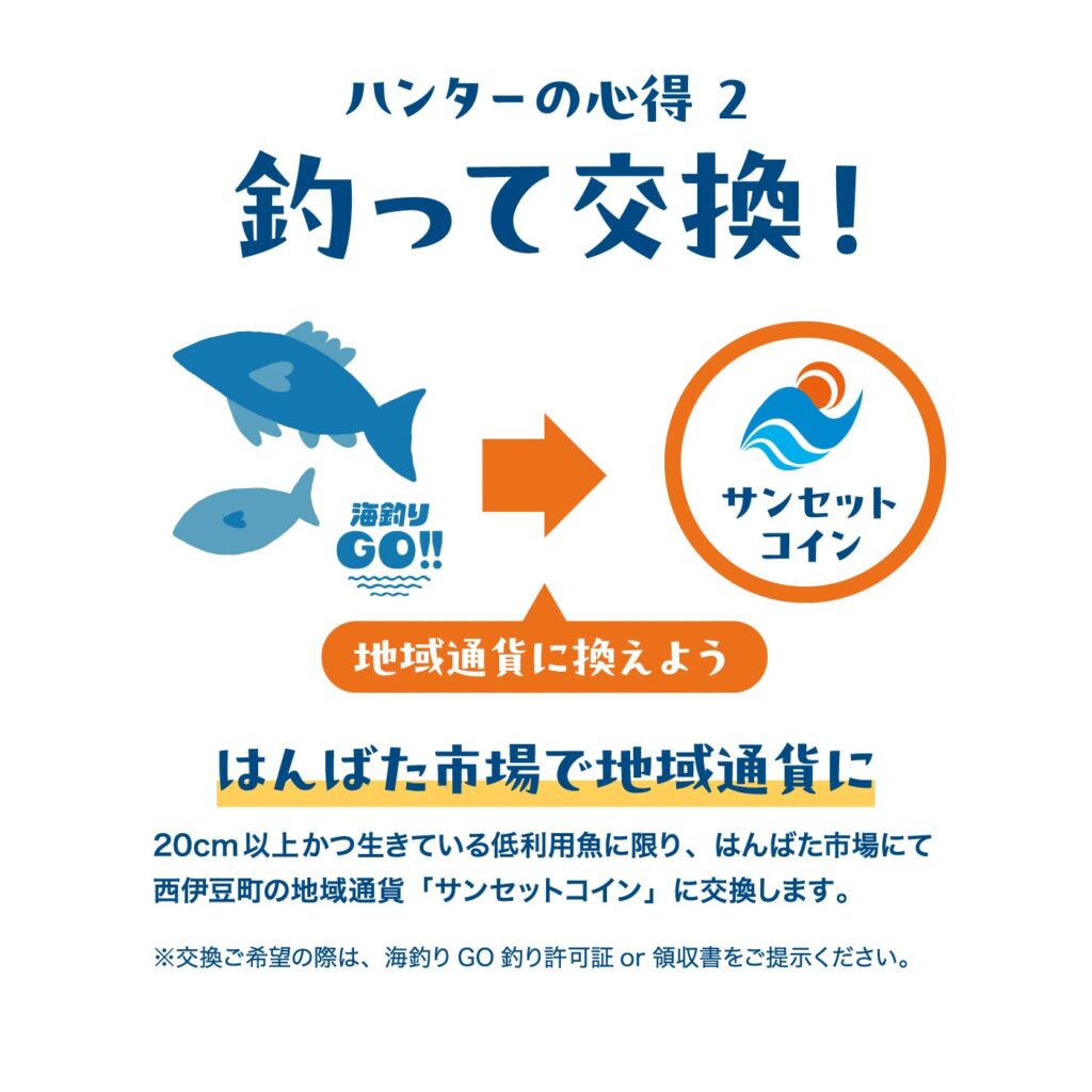仁科漁港｜集えハンターたち！「低利用魚ハンティング」